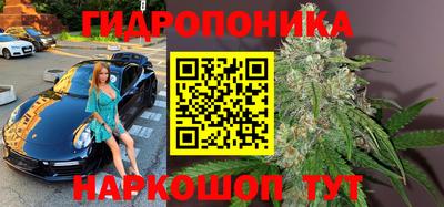 эйфоретик Моздок