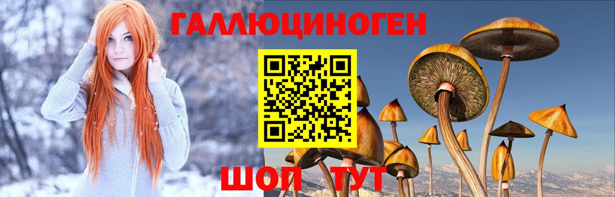 Псилоцибиновые грибы ЛСД Тверь